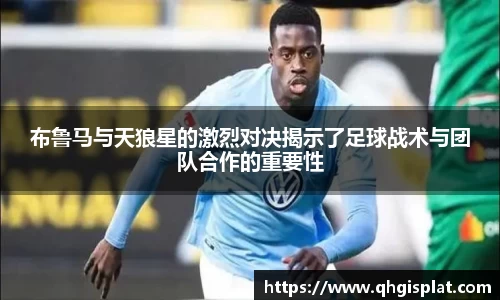 星空.综合体育官网
